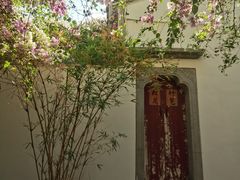 -深圳国际园林花卉博览园