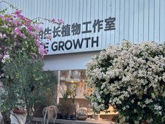-自由生长植物工作室(深港花卉中心店)