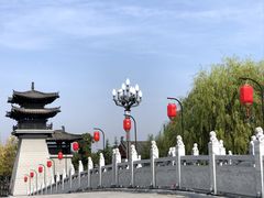 -洛阳市隋唐城遗址植物园