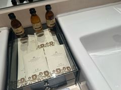 -电谷雅阁国际大酒店