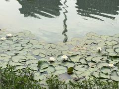 -海底捞火锅(武胜路凯德广场店)