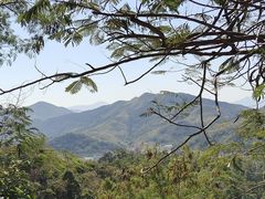 -梧桐山风景名胜区