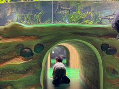 -海合安成都极地海洋公园