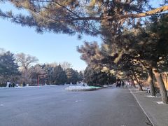 -北陵公园