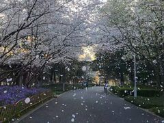 -白塘生态植物园