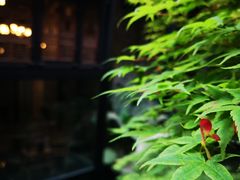 -鱼桥巷·美学川菜