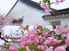 -虎丘山风景名胜区