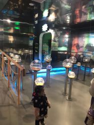 -七巧国萌宠乐园(龙湖天街店)