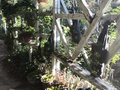 -小仙居·农家宴烤羊· 农庄