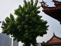 -同安孔庙