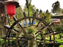 -青城甲(青城山店)