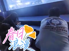 -重庆欢乐海底世界