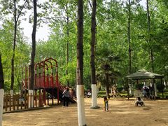 -合肥滨湖国家森林公园