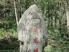 -上海佘山国家森林公园天马山园