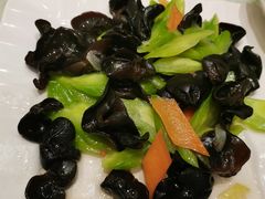 木耳苦瓜-双井轩(双井店)