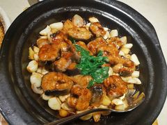 -海市焗·现焗海鲜·老广风味(上海首店)