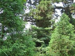 -东天目山风景区