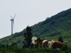 -齐岳山