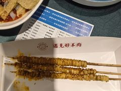 -红柳枝滩羊烧烤·非遗