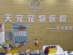 -天宠宠物医院24小时·急重症诊疗中心·全科·腔镜特色(和平分院)