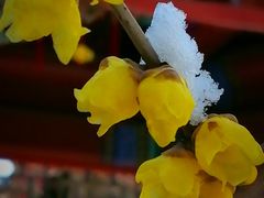 -月坛公园