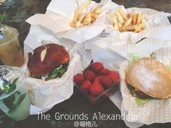-The Grounds of Alexandria