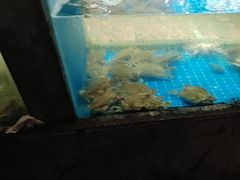 -码头鲜精致威海菜(欧乐坊店)