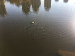 -前关湿地公园