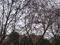 -昆明理工大学莲华校区幼儿园