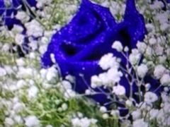 -飞奇儿体能体操馆(和平印象城店)