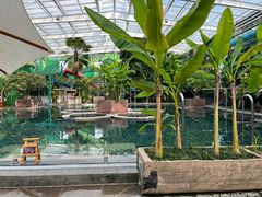 -观唐（国际）度假村温泉