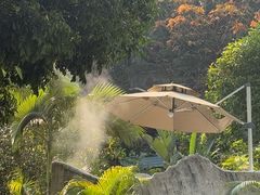 -清泉湾生态旅游度假区