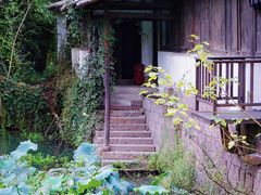 -西溪国家湿地公园