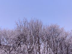 -北京明城墙遗址公园