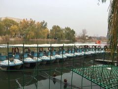 -南翠屏公园
