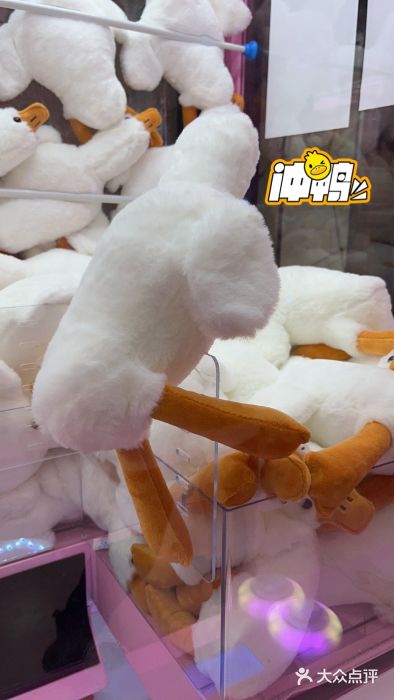 +WAWA夹娃娃专门店·抓娃娃图片