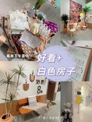 -好看加白色房子