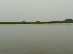 -鄱阳湖国家湿地公园