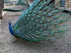 -静之湖湖畔餐厅