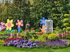 -上海共青森林公园