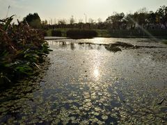 -艾溪湖湿地公园