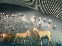 -中国湿地博物馆
