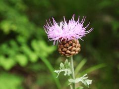 -桂林资江天门山风景区