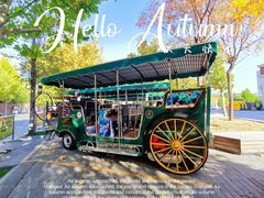 -天津五大道文化旅游区