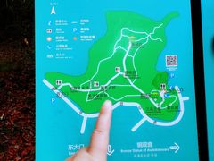 -上海佘山国家森林公园天马山园