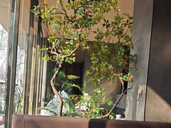 -宋都禾源·灌汤包子(汉兴路直营店)