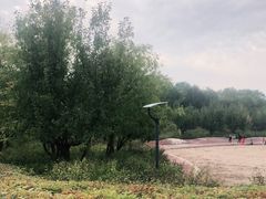 -潇河湿地公园