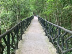 -龙湾潭国家森林公园