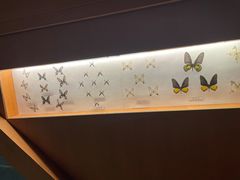 -青藏高原自然博物馆