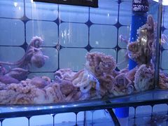 -日照大牌檔•小船海鲜(万平口店)